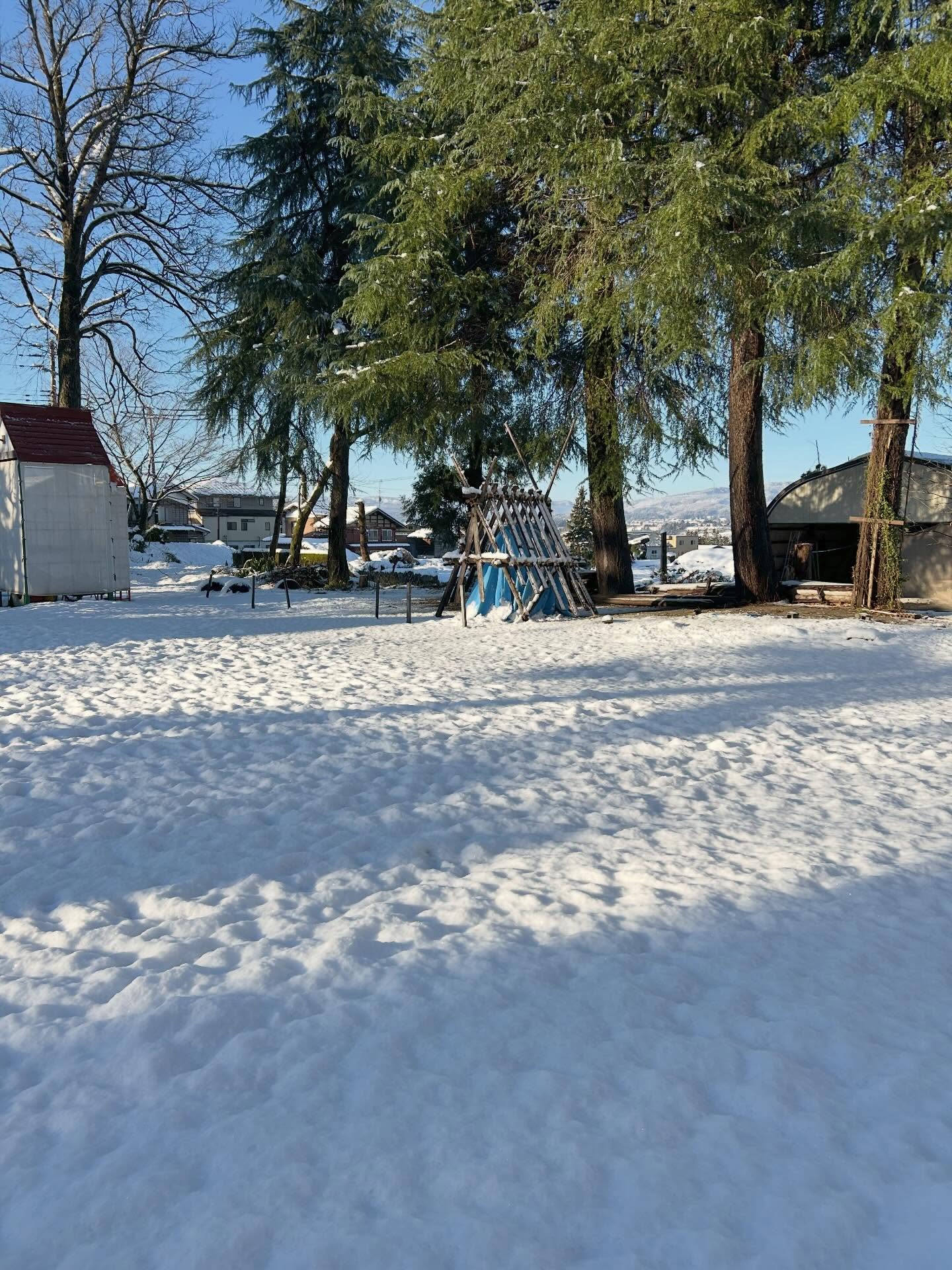 先日は十日町での撮影をさせて頂きました！雪が降り寒くなってまいりました。体調に気をつけてお過ごしください️